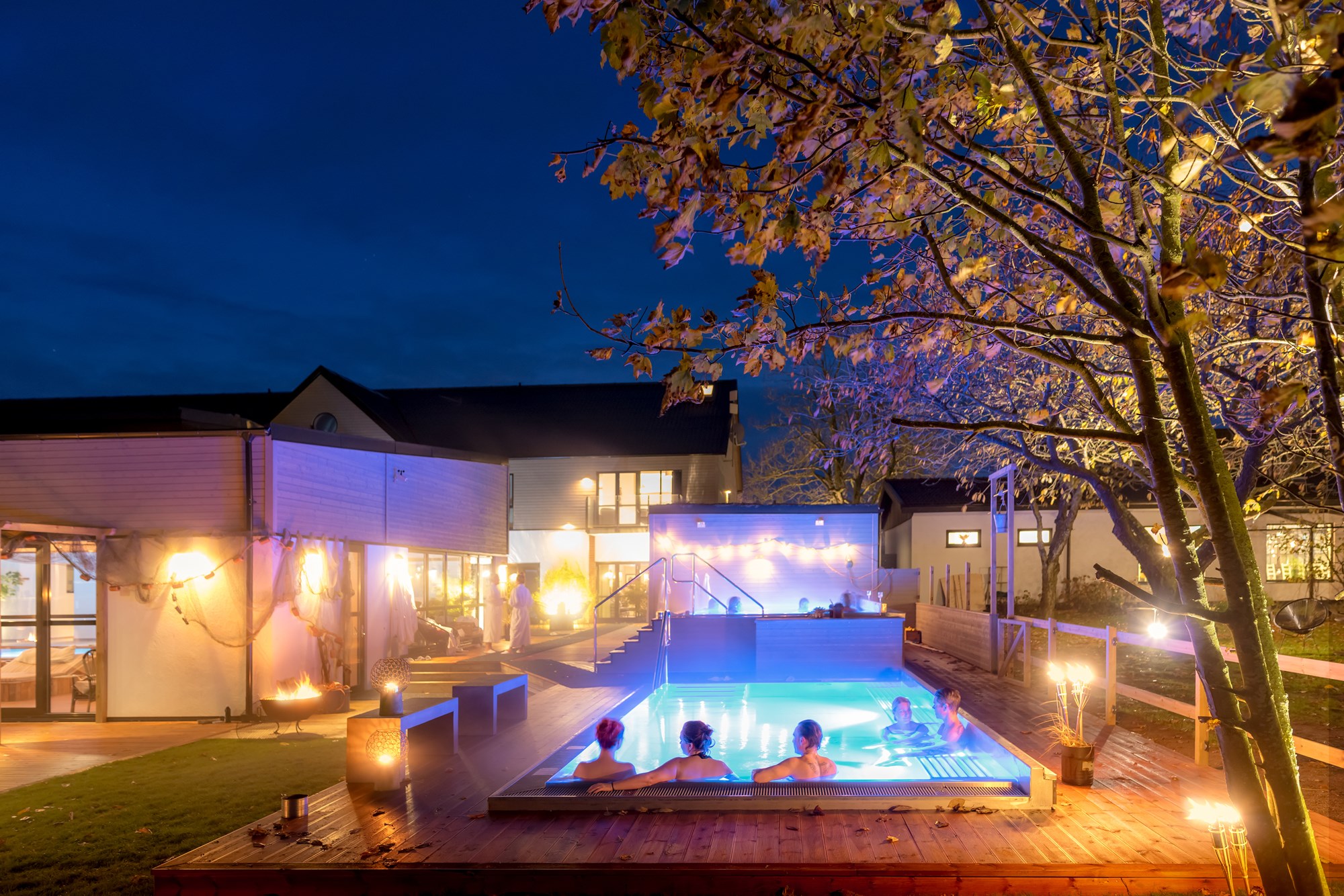 1711-Mossby-pool-spa_DSC2433-Webb.jpg